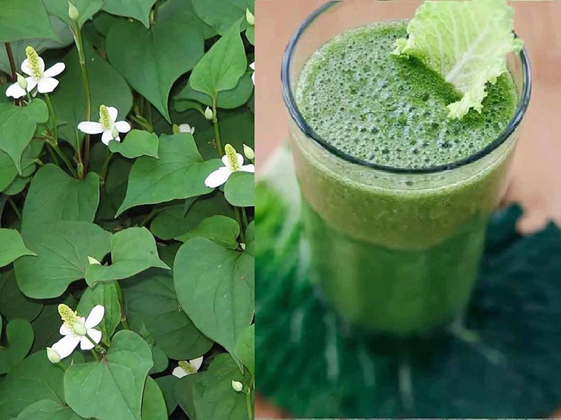 Nguyên nhân, tác hại và cách điều trị của bệnh trĩ nội độ 2 gồm những gì? 4