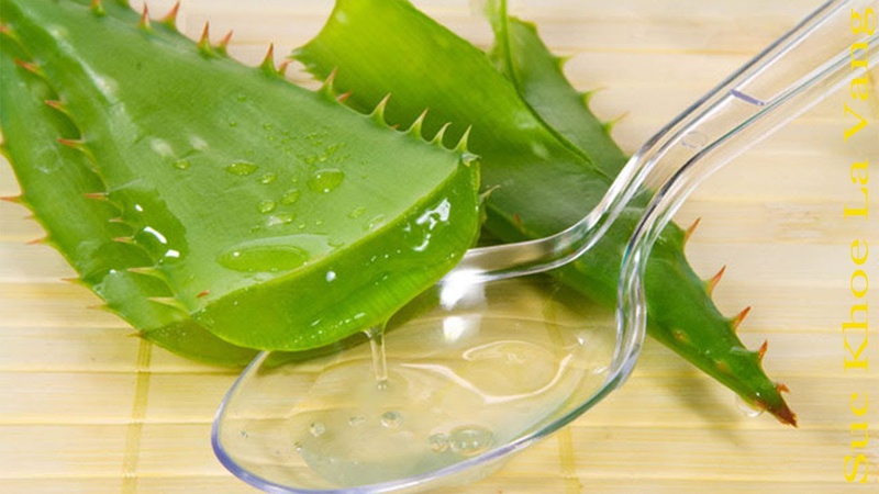Bị muỗi đốt sưng đỏ cần làm gì để mau hết nhất?