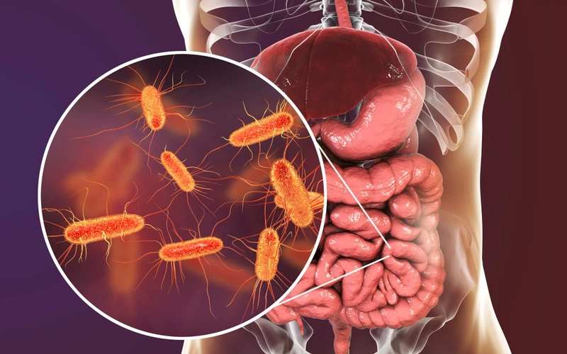 Bị rối loạn tiêu hóa nên ăn cháo gì gợi ý top 6 loại cháo bổ sung dinh dưỡng và dễ tiêu 2