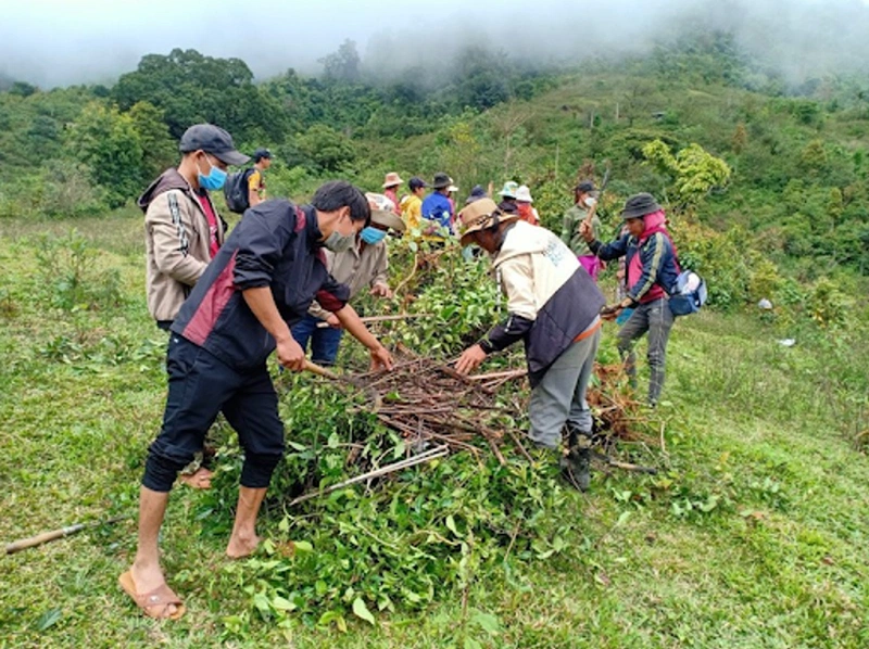 Cách cấp cứu ngộ độc lá ngón 3