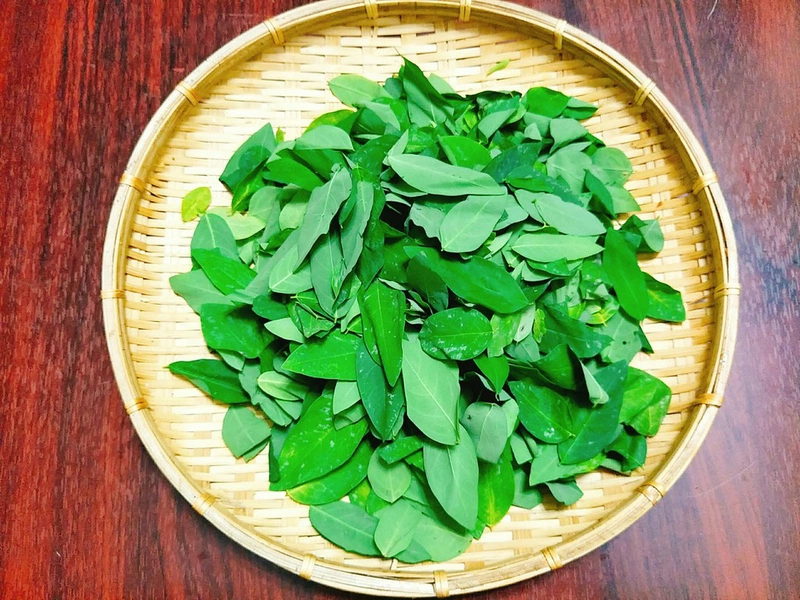 Mách mẹ cách chế biến rau ngót cho bé ăn dặm kiểu Nhật 3