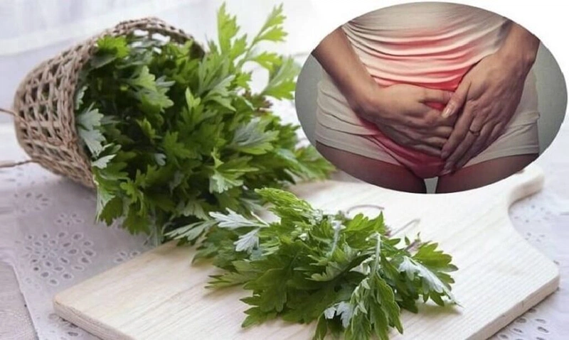 Cách chữa buồng trứng đa nang bằng ngải cứu 4