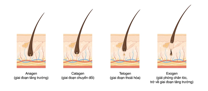 Cách làm rụng lông chân hiệu quả nhất mà chị em nên biết 1