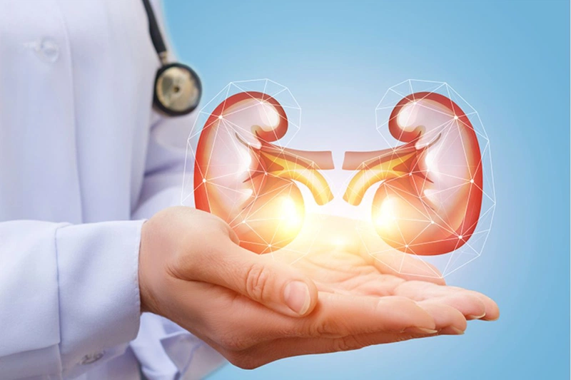 Chạy thận và ghép thận là gì? Nên lựa chọn chạy thận hay ghép thận khi điều trị 3