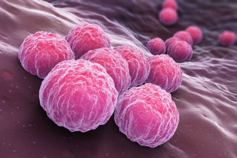 Bệnh Chlamydia