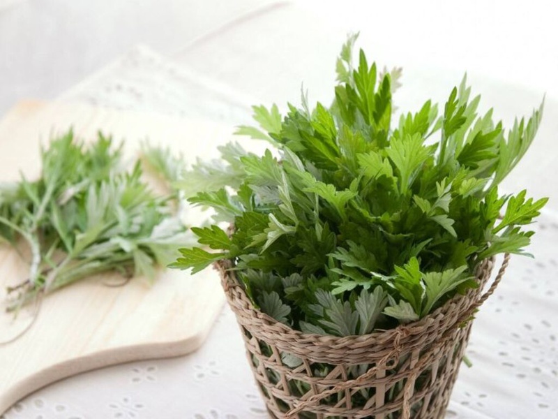 Cách chữa đa nang buồng trứng dân gian 5