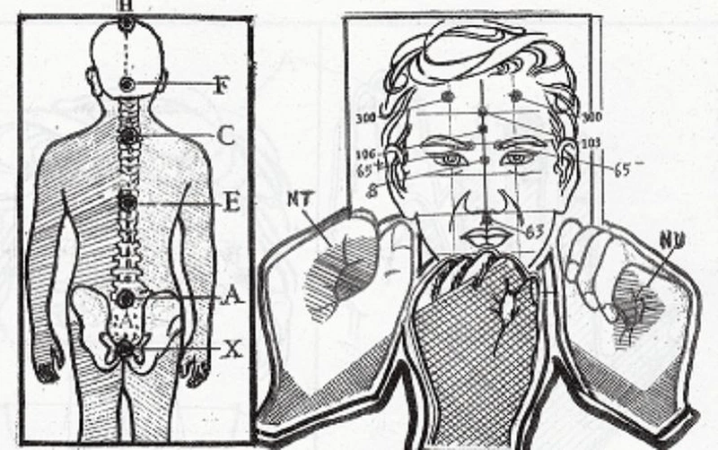 Chữa rối loạn tiêu hóa bằng diện chẩn: Công dụng và những điều cần lưu ý 1