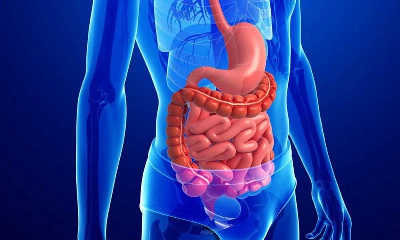 Chữa rối loạn tiêu hóa bằng diện chẩn: Công dụng và những điều cần lưu ý 2