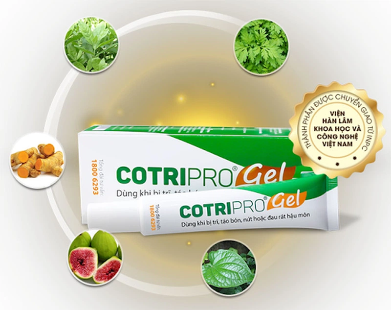 Gel Bôi Trĩ Cotripro gel có tốt không? 1