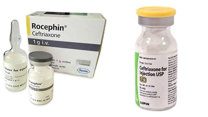 Dị ứng thuốc Rocephin những lưu ý khi sử dụng kháng sinh 2
