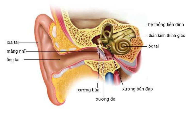 Đừng chủ quan nếu như bạn mắc phải hội chứng tiền đình trung ương 1