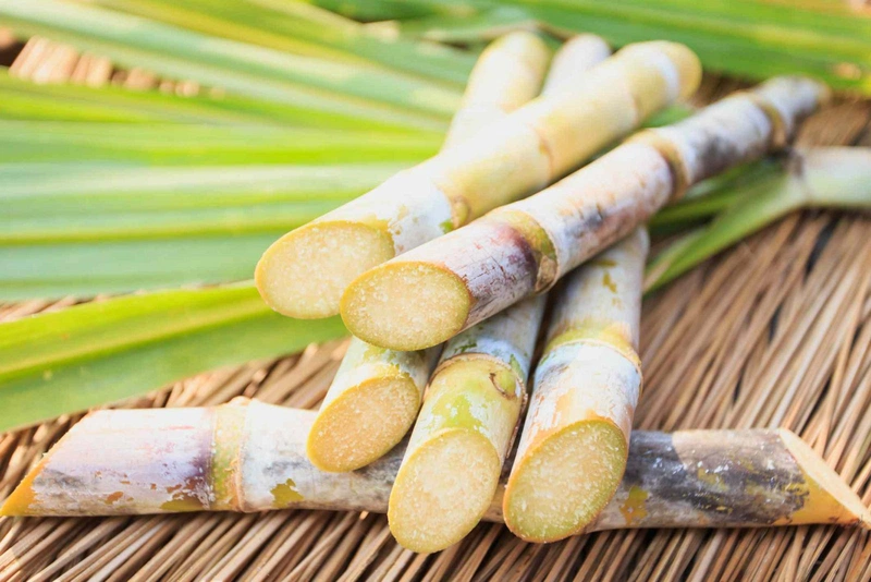Thành phần nào tốt trong kem dưỡng trắng da phải có 3