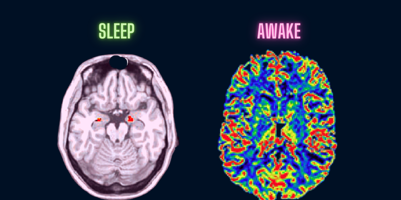 Giấc ngủ ngắn làm giảm mức adenosine trong cơ thể một cách hiệu quả và từ đó giúp chúng ta nâng cao khả năng tập trung 3