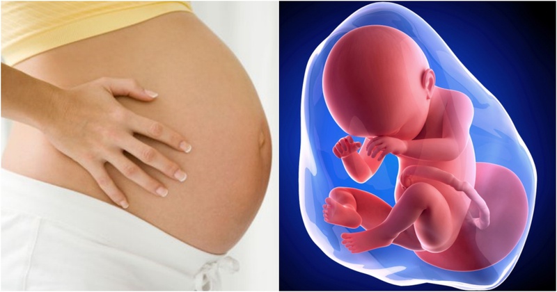 Giải đáp cho bạn Khoai sọ bao nhiêu calo 3