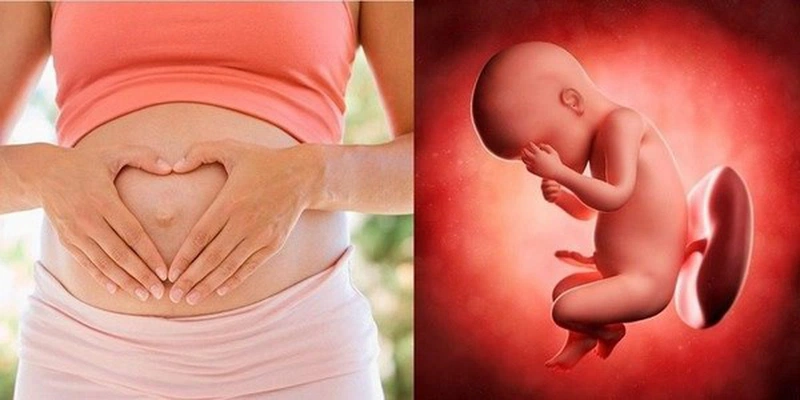 Giải đáp thắc mắc Ngừng uống thuốc tránh thai bao lâu thì sẽ có thai 2