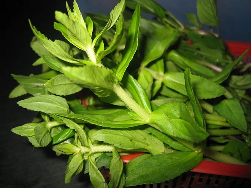 Giải đáp thắc mắc: Bà bầu ăn rau ngổ được không và những điều cần lưu ý 4