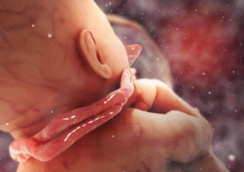 Giải đáp thắc mắc: Vì sao bà bầu không được với tay? Một số hành động mẹ bầu nên tránh khi mang thai 2