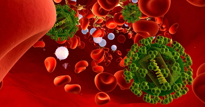 Giai đoạn cửa sổ HIV kéo dài bao lâu? Các triệu chứng thường gặp trong giai đoạn cửa sổ là gì? 2