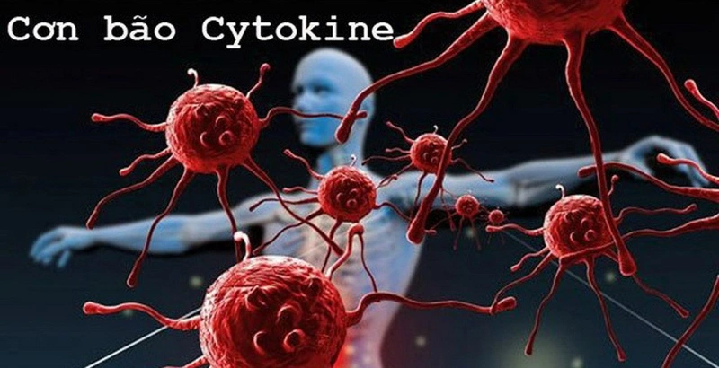 Hội chứng bão cytokine là gì? Bão cytokine ở bệnh nhân COVID-19 có nguy hiểm không? 1
