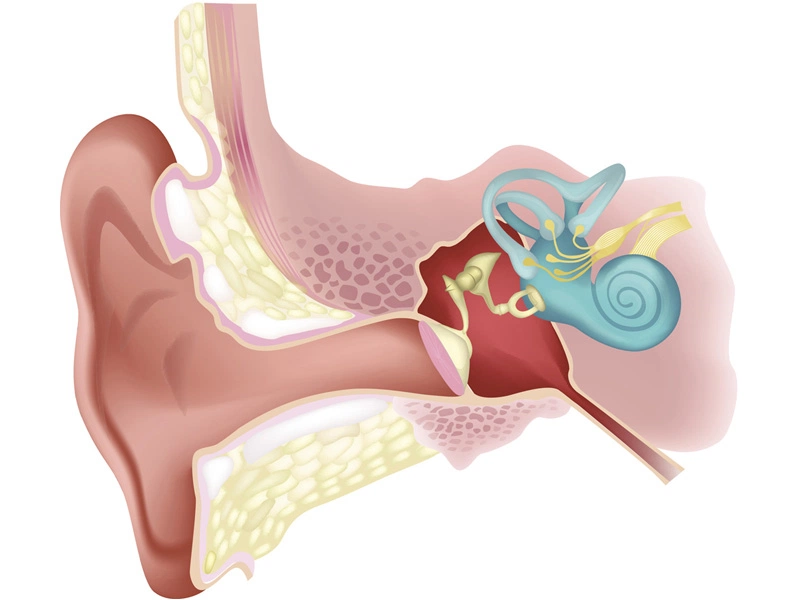 Hội chứng tiền đình Phương pháp điều trị hiệu quả và chẩn đoán chính xác 1