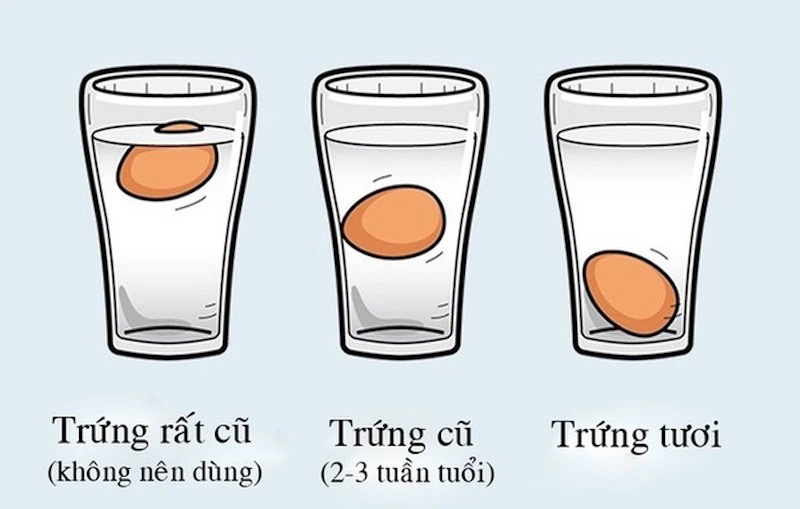 Hướng dẫn bạn cách bảo quản trứng 8