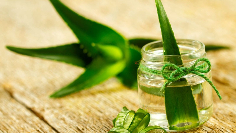 Kể tên 3 công thức mặt nạ từ thiên nhiên giúp da căng bóng, xóa mờ thâm nám và chống lão hóa da 3