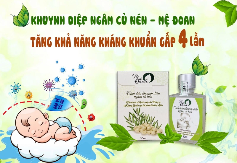 Kể tên các tinh dầu có tác dụng đuổi muỗi hiệu quả 1