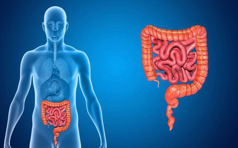 Lựa chọn phương pháp điều trị U mô đệm đường tiêu hóa
