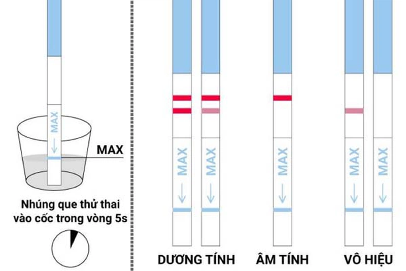 Lý giải hiện tượng que thử thai không lên vạch nào 4