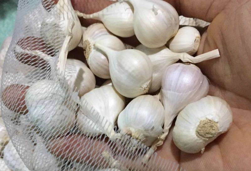 Mách mẹ cách chữa ho hiệu nghiệm cho bé với hành tím