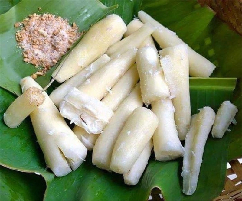 Bầu ăn sắn luộc được không? Lưu ý quan trọng và lời khuyên cho mẹ bầu