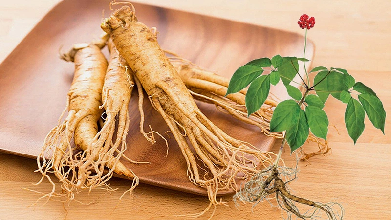Hồng sâm và nhân sâm khác nhau thế nào? 3