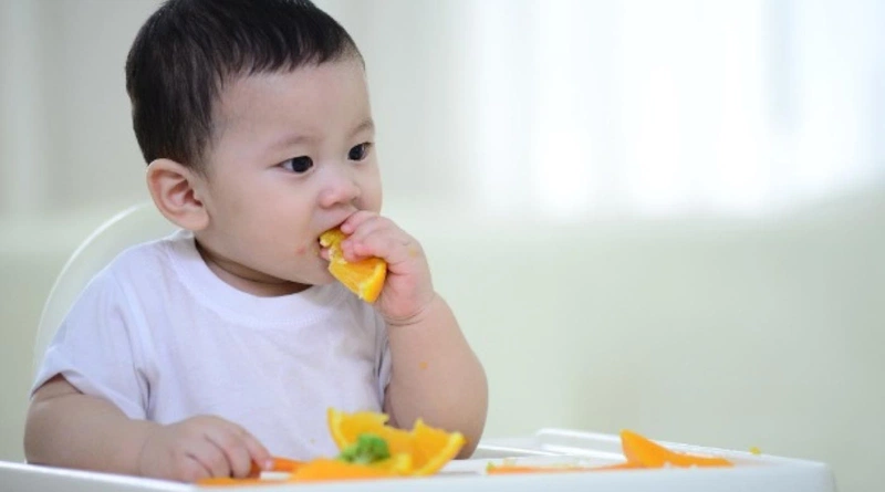 Những điều cần biết về phương pháp ăn dặm tự chỉ huy 1