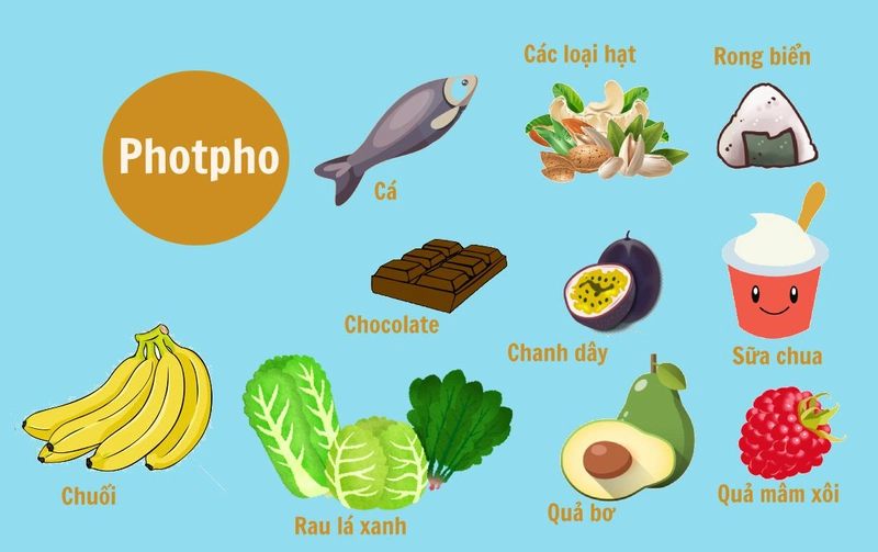 Phospho có trong nhiều thực phẩm