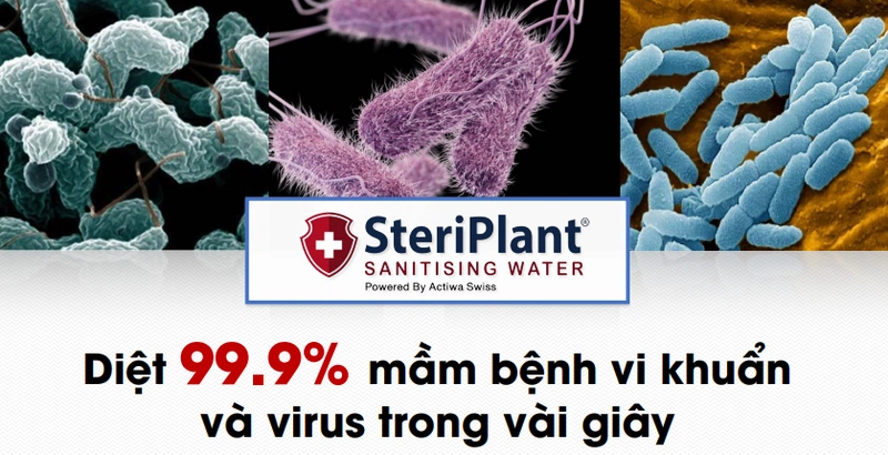 Steriplant diệt sạch vi khuẩn trong vài giây