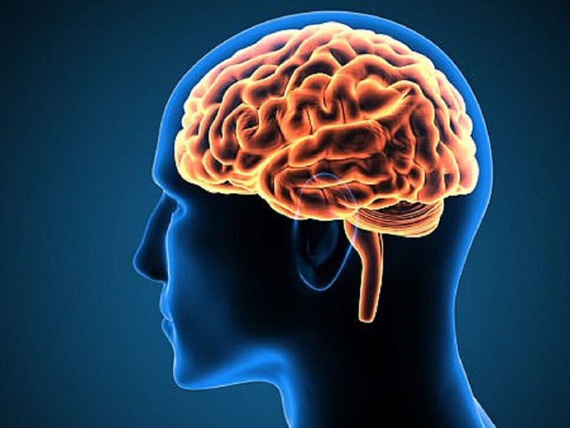 Tác dụng của N-Acetyl Cysteine đối với sức khỏe 3