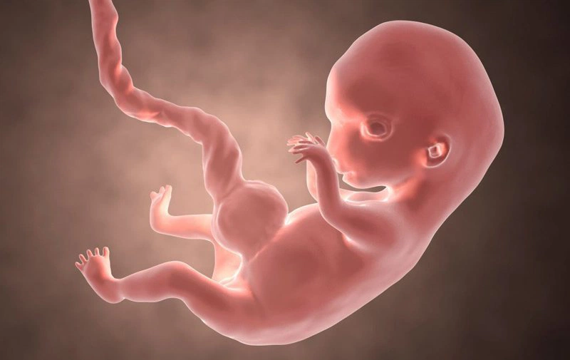 Thiếu máu hồng cầu vô cùng nguy hiểm ở phụ nữ mang thai 2