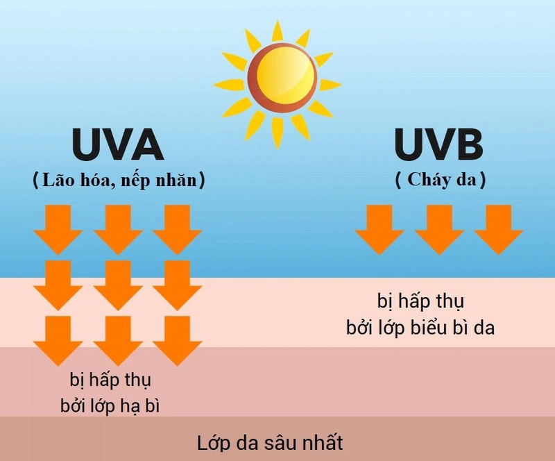 Thời điểm cường độ tia UV mạnh nhất khi nào 1