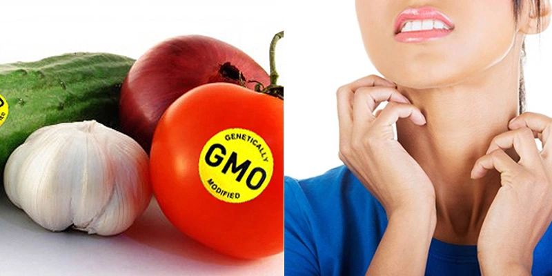 Thực phẩm biến đổi gen GMO có thể gây dị ứng 2