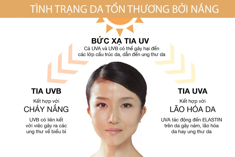 Tia UV có thể xuyên qua những gì? Bảo vệ da tránh khỏi tác động của tia UV bằng cách nào 1