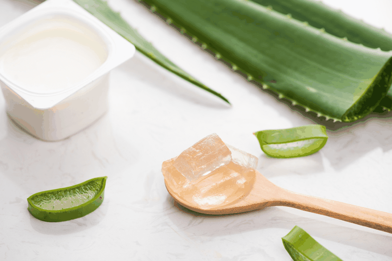 Tiết lộ cho bạn cách chữa cháy nắng với nha đam đơn giản tại nhà 3