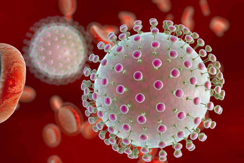 Virus zika gây teo não: Triệu chứng, chẩn đoán và cách điều trị 1
