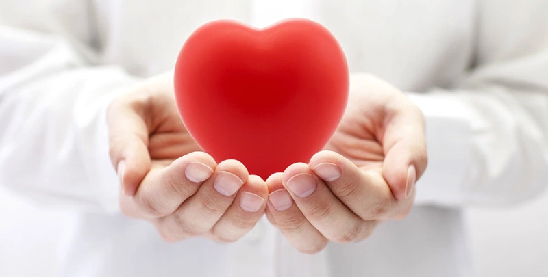 Vitamin K2 giúp tăng cường sức khoẻ tim mạch