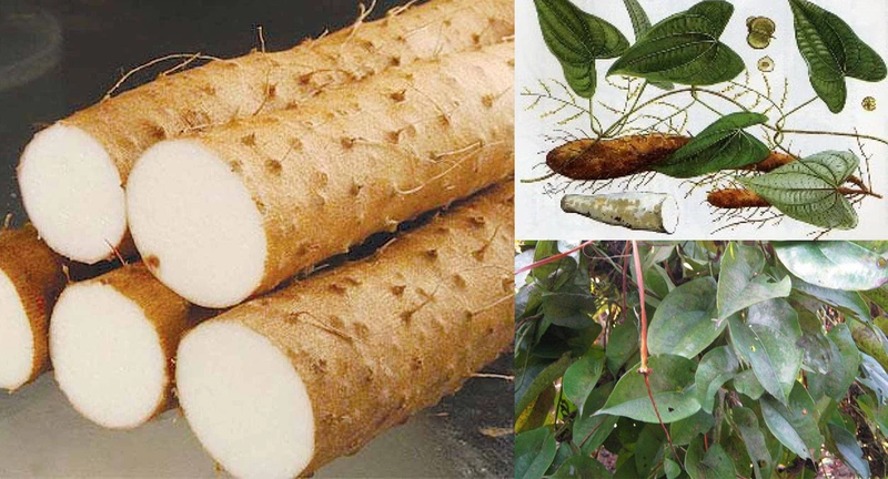 Củ mài có chứa enzyme giúp giảm hội chứng tiền mãn kinh ở phụ nữ 