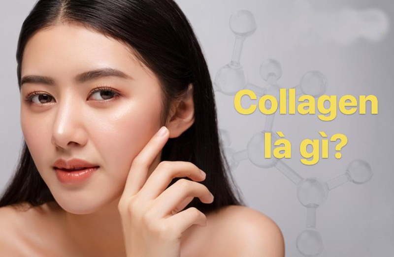 Bạn cần ăn gì để có thể sản sinh collagen đúng cách?
