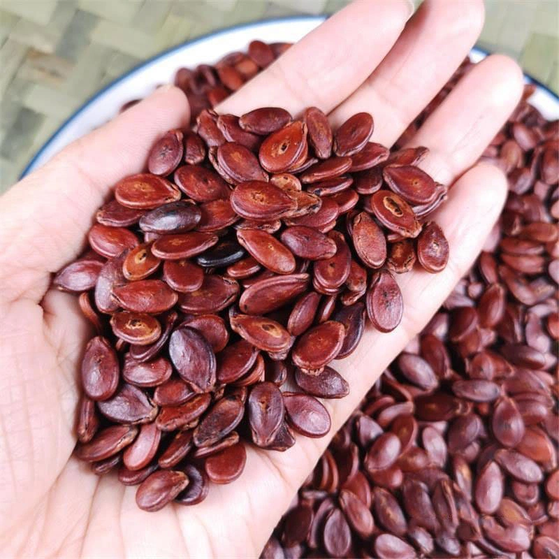 Ăn hạt dưa có nổi mụn không 1