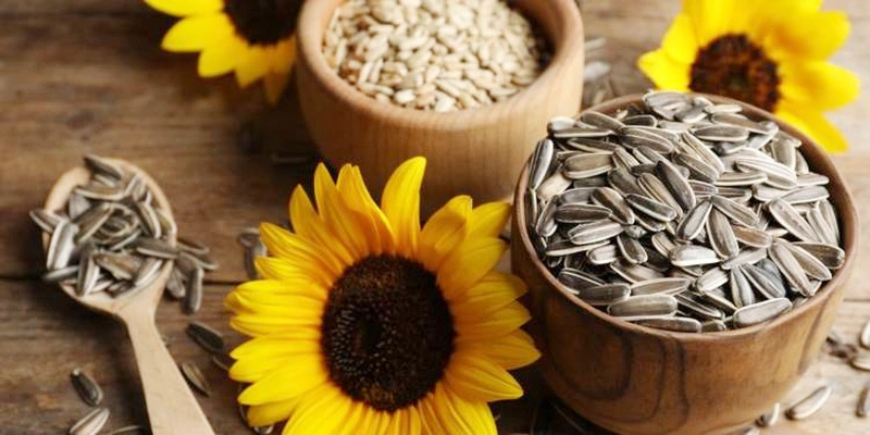 Ăn hạt hướng dương có bị vô sinh không 3