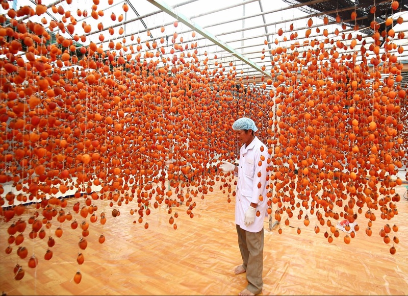 Hồng giòn treo gió