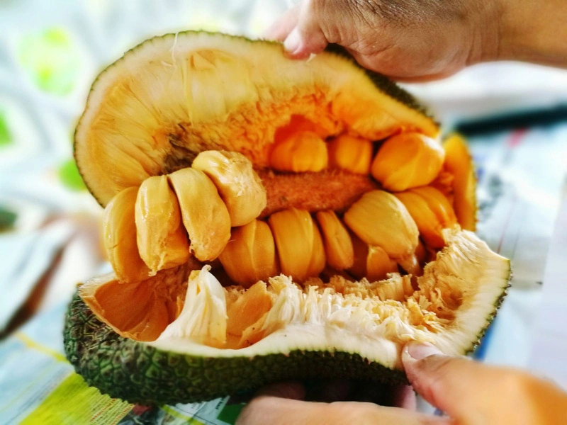 ăn mít có nóng không 4
