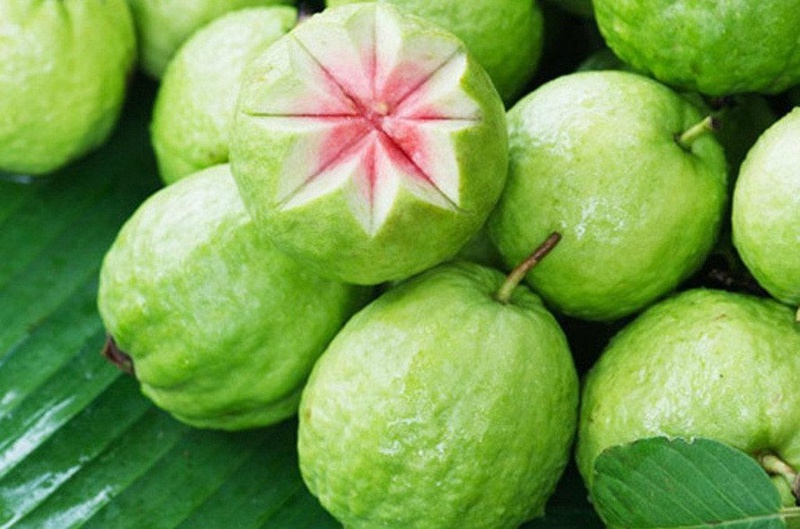 Ăn ổi nhiều có tốt không, ăn ổi có tác dụng gì2